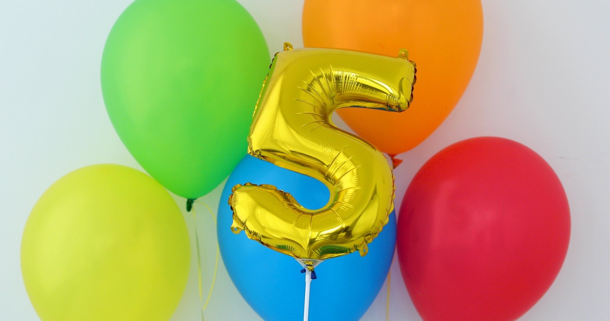 Top 5 Upgrades From 5 Years of Brand Nurturing at Shiny Leaf