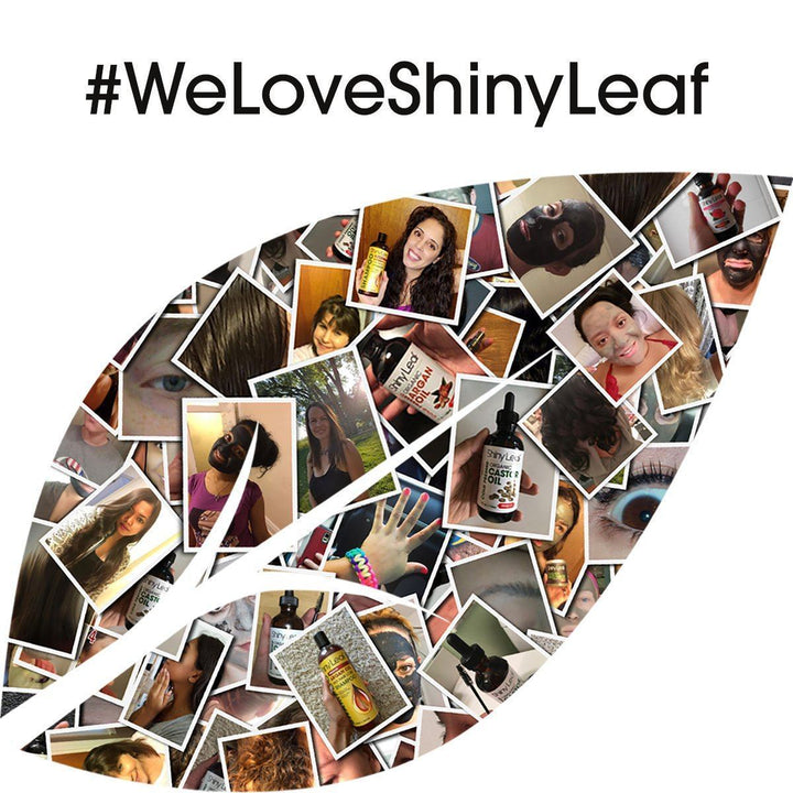 We Love Shiny Leaf 