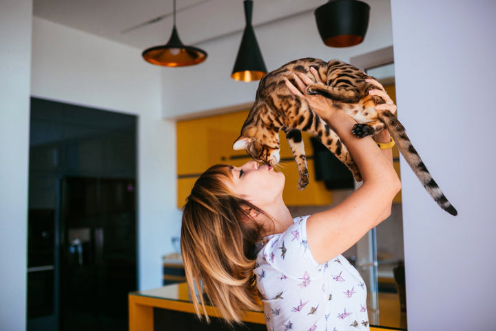 Girl kissing a cat