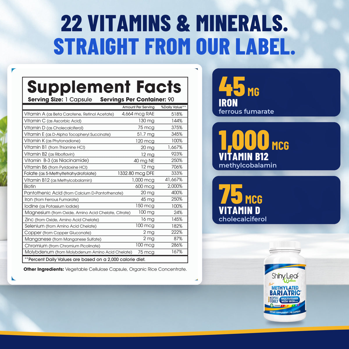 Methylated Bariatric Multivitamins with 45mg Iron 1 capsule a day