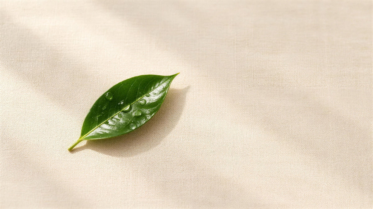 Green leaf on linen