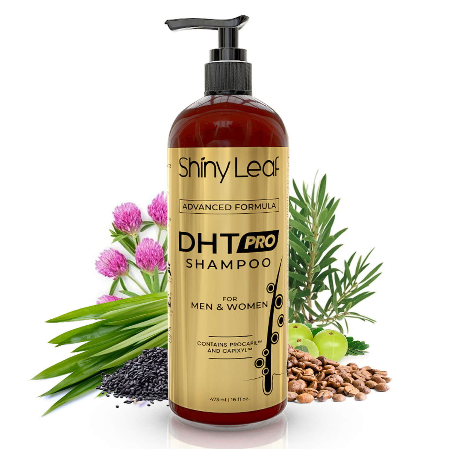 DHT Pro Shampoo for Hair Loss & Thinning Strands | Shiny Leaf
